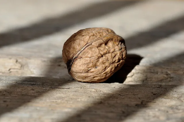 walnut, nut, nuts, healthy, yummy, natural product, wooden floor, light and shadow, walnut, walnut, walnut, walnut, walnut, nut, nut, nut, nuts, nuts. AI product photography tools for UK sellers: what to check before you commit