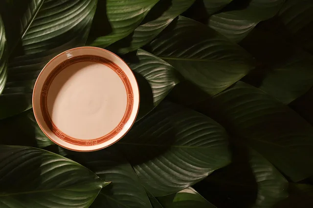 leaves, plate, green leaves, nature, foliage, product photography, ceramic plate, copy space, top view. Product photography agency reviews explained for England buyers