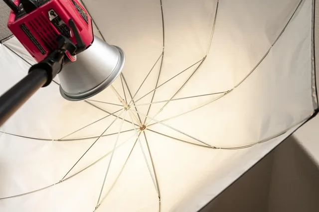 alien bee, strobe light, photography, umbrella, equipment, studio, light, flash. How to run product photography competitor research for ecommerce