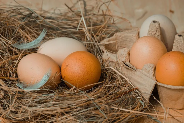 chicken eggs, hay, chicken product, nourishment, food, eggs, bio, naturally, natural product, package, chicken eggs, chicken eggs, chicken eggs, chicken eggs, chicken eggs, eggs. Why product photography service standards need a written baseline